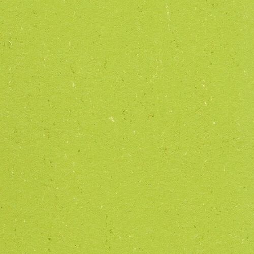 Linoleum - Limonengrün