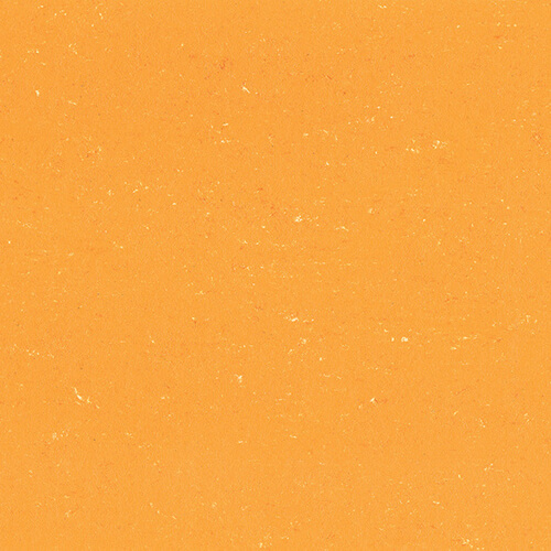 Linoleum - Mandarine