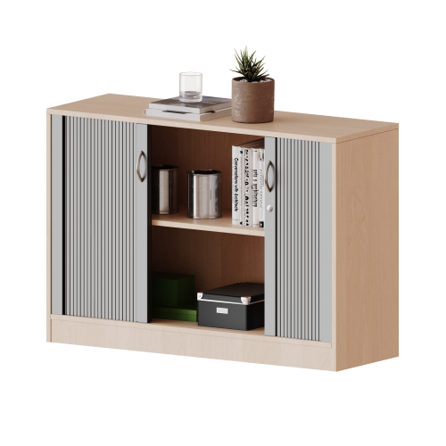Schrank mit Rollo, 2 Ordnerhöhen - Serie evo180 B/H/T: 120x82x50 cm, Querrollladen, abschließbar, mit Sockel (81 mm)