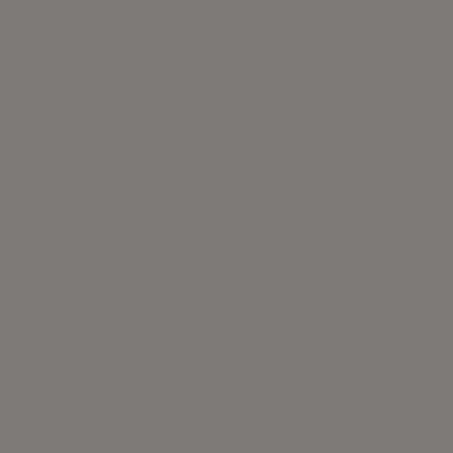 SRAL9007 Graualuminium