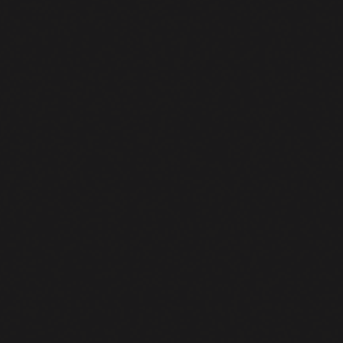 RAL-9005 Tiefschwarz